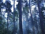 Tn IMG 1415